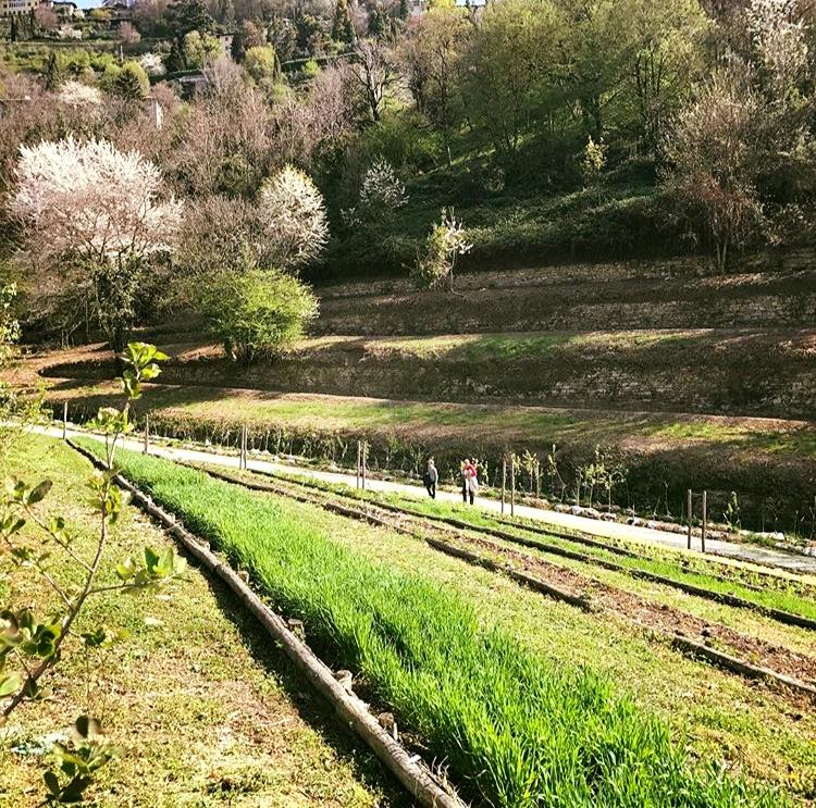 “Sweet Irene nell’Orto Botanico di Astino”
