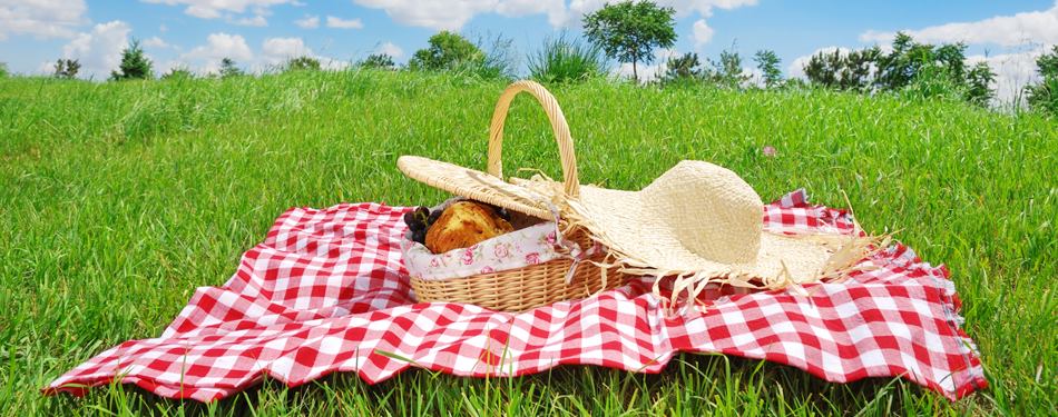 “Picnic nel giardino dei piccoli frutti”